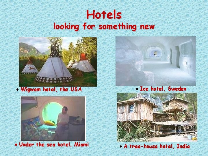 Hotels looking for something new ● Wigwam hotel, the USA ● Under the sea