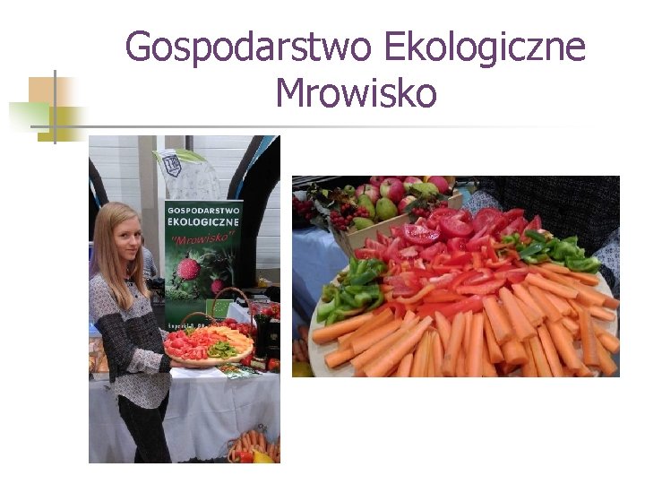 Gospodarstwo Ekologiczne Mrowisko 