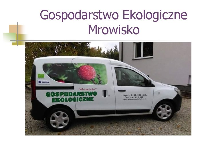 Gospodarstwo Ekologiczne Mrowisko 