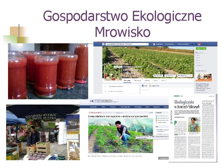 Gospodarstwo Ekologiczne Mrowisko 