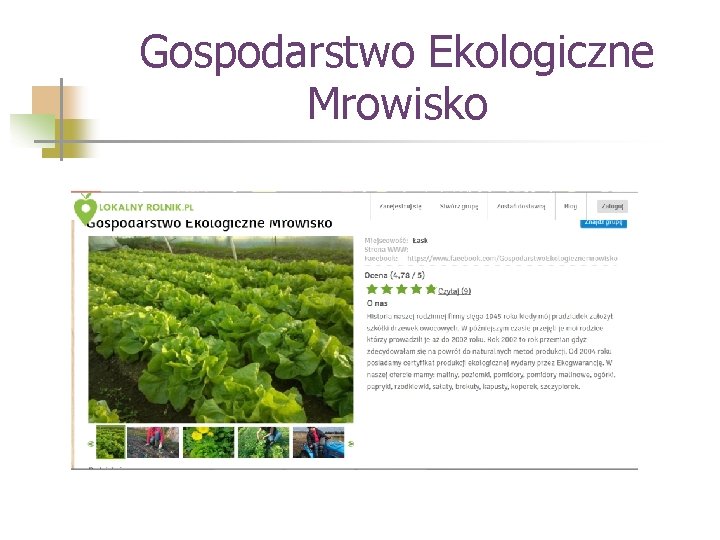 Gospodarstwo Ekologiczne Mrowisko 