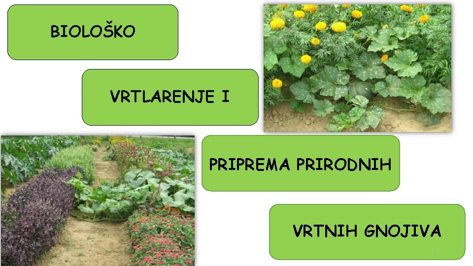 BIOLOŠKO VRTLARENJE I PRIPREMA PRIRODNIH VRTNIH GNOJIVA 1 