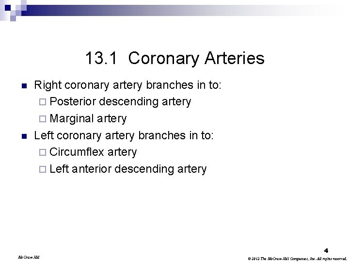 13. 1 Coronary Arteries n n Right coronary artery branches in to: ¨ Posterior