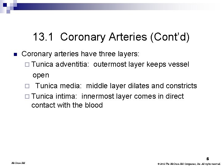 13. 1 Coronary Arteries (Cont’d) n Coronary arteries have three layers: ¨ Tunica adventitia: