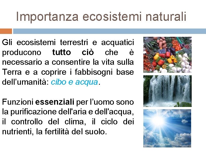 Importanza ecosistemi naturali Gli ecosistemi terrestri e acquatici producono tutto ciò che è necessario