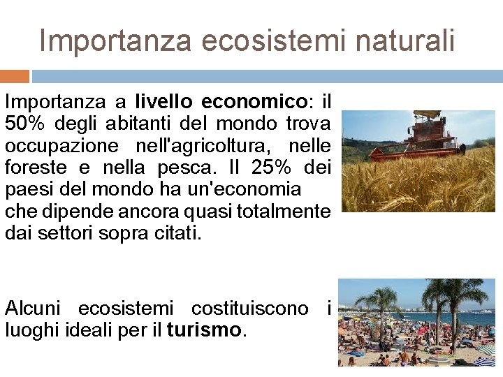 Importanza ecosistemi naturali Importanza a livello economico: il 50% degli abitanti del mondo trova