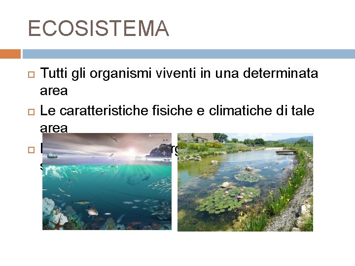 ECOSISTEMA Tutti gli organismi viventi in una determinata area Le caratteristiche fisiche e climatiche