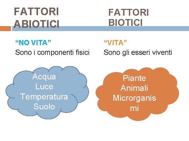 FATTORI ABIOTICI “NO VITA” Sono i componenti fisici Acqua Luce Temperatura Suolo FATTORI BIOTICI