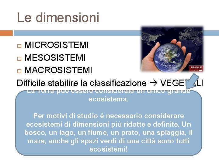 Le dimensioni MICROSISTEMI MESOSISTEMI MACROSISTEMI Difficile stabilire la classificazione VEGETALI La Terra può essere