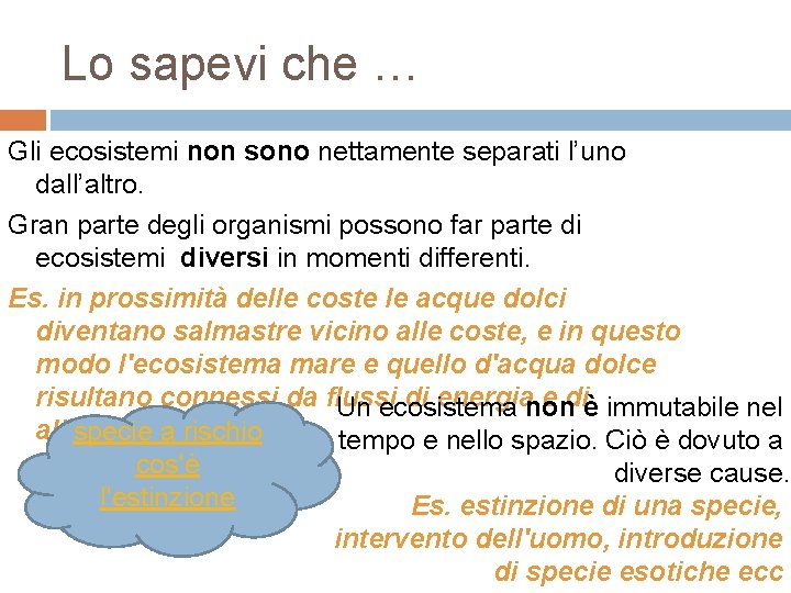 Lo sapevi che … Gli ecosistemi non sono nettamente separati l’uno dall’altro. Gran parte