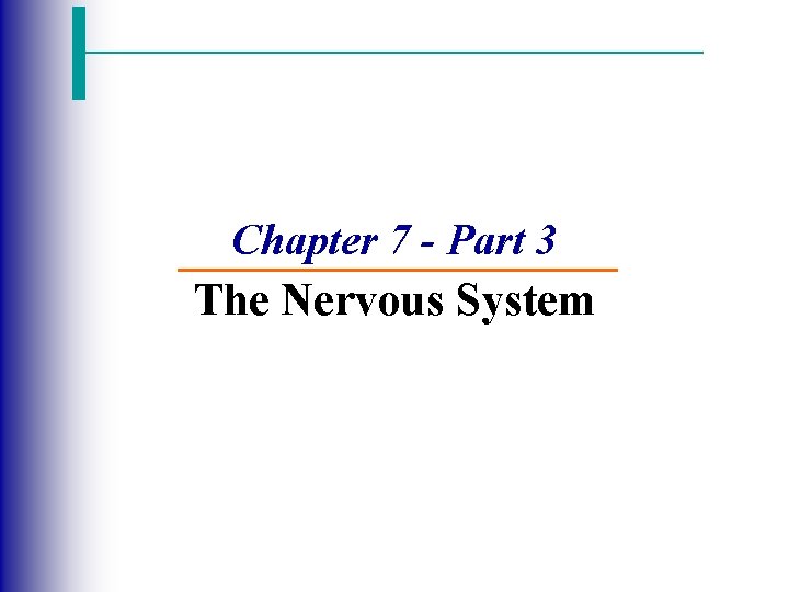 Chapter 7 - Part 3 The Nervous System 