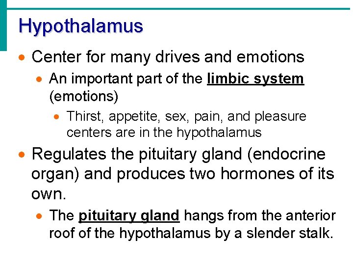 Hypothalamus · Center for many drives and emotions · An important part of the