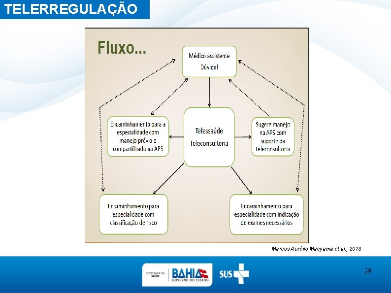 TELERREGULAÇÃO Marcos Aurélio Maeyama et al. , 2018 29 