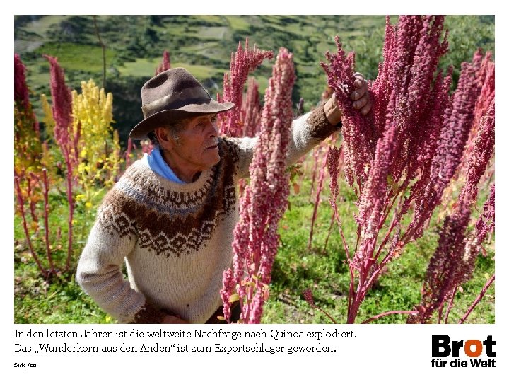 In den letzten Jahren ist die weltweite Nachfrage nach Quinoa explodiert. Das „Wunderkorn aus