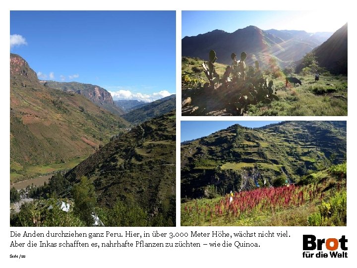 Die Anden durchziehen ganz Peru. Hier, in über 3. 000 Meter Höhe, wächst nicht