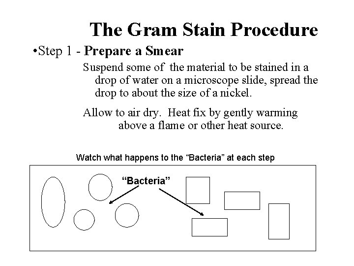 The Gram Stain Procedure • Step 1 - Prepare a Smear Suspend some of