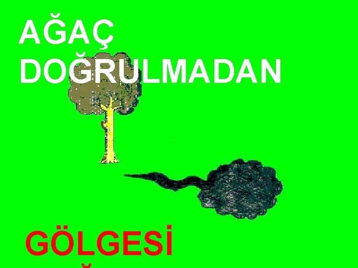 AĞAÇ DOĞRULMADAN GÖLGESİ 