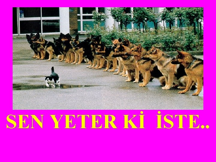 SEN YETER Kİ İSTE. . 