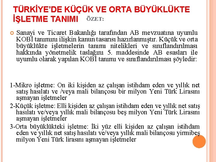 TÜRKİYE’DE KÜÇÜK VE ORTA BÜYÜKLÜKTE İŞLETME TANIMI ÖZET: Sanayi ve Ticaret Bakanlığı tarafından AB