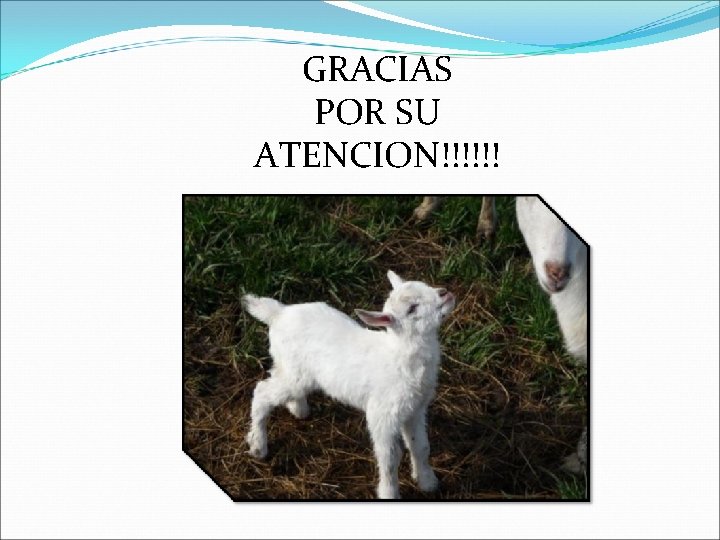 GRACIAS POR SU ATENCION!!!!!! 