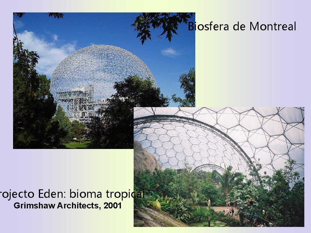 Biosfera de Montreal rojecto Eden: bioma tropical Grimshaw Architects, 2001 10 