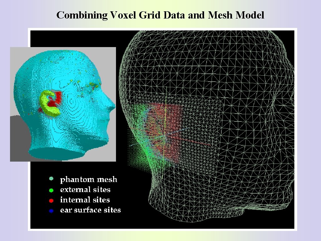 Combining Voxel Grid Data and Mesh Model 