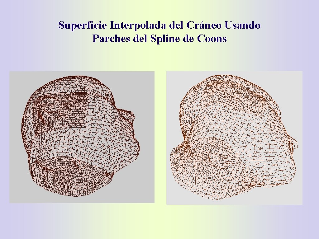 Superficie Interpolada del Cráneo Usando Parches del Spline de Coons 