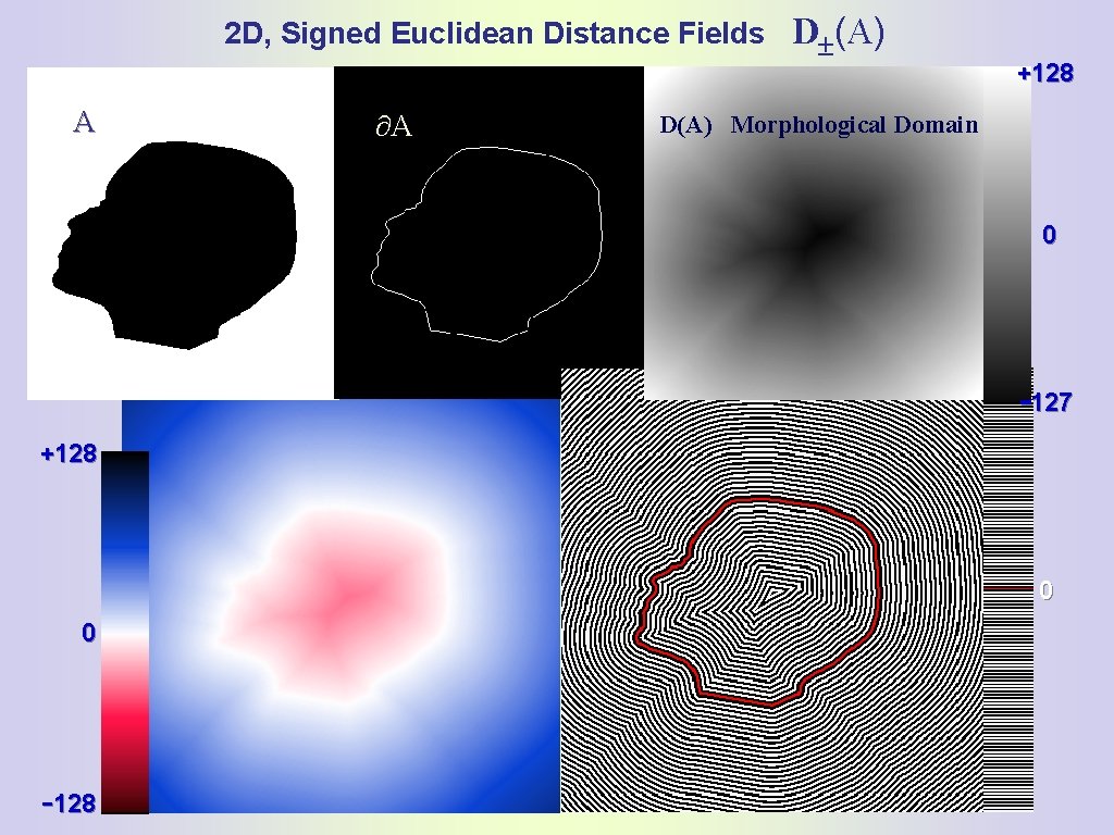 2 D, Signed Euclidean Distance Fields A A D (A) +128 D (A )