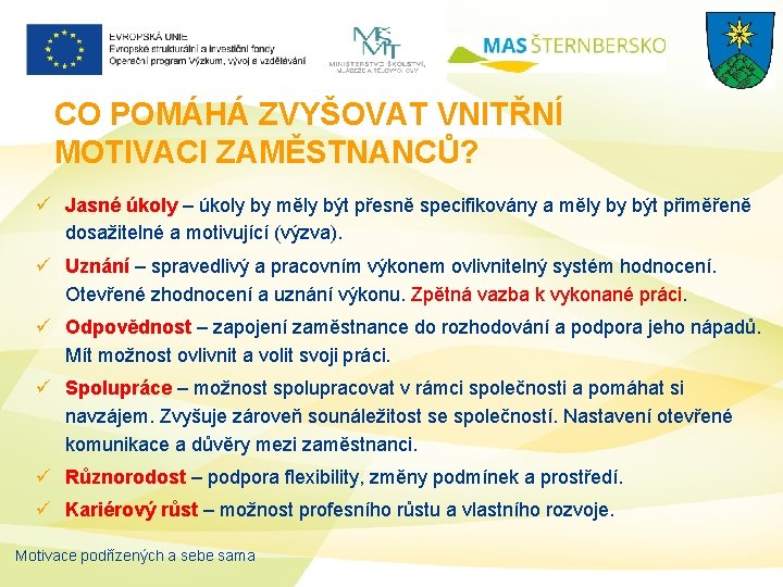 CO POMÁHÁ ZVYŠOVAT VNITŘNÍ MOTIVACI ZAMĚSTNANCŮ? ü Jasné úkoly – úkoly by měly být