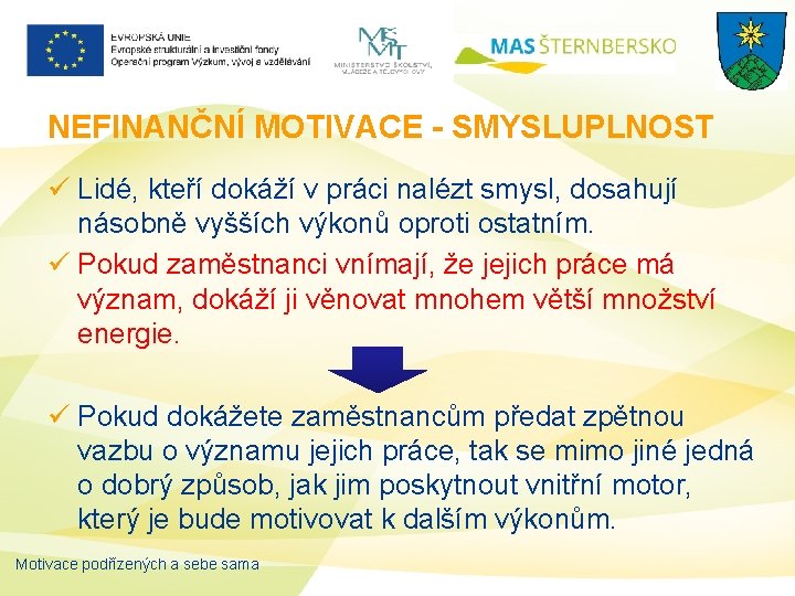 NEFINANČNÍ MOTIVACE - SMYSLUPLNOST ü Lidé, kteří dokáží v práci nalézt smysl, dosahují násobně