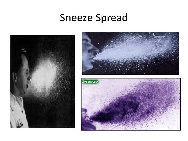 Sneeze Spread 