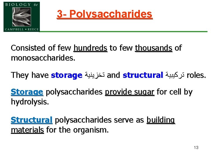3 - Polysaccharides Consisted of few hundreds to few thousands of monosaccharides. They have
