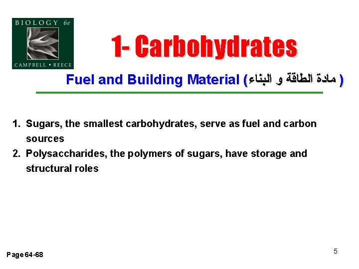 1 - Carbohydrates Fuel and Building Material ( ) ﻣﺎﺩﺓ ﺍﻟﻄﺎﻗﺔ ﻭ ﺍﻟﺒﻨﺎﺀ 1.