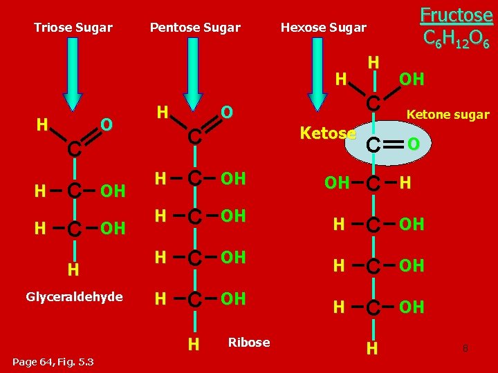 Triose Sugar Pentose Sugar Hexose Sugar H H O H C H H C