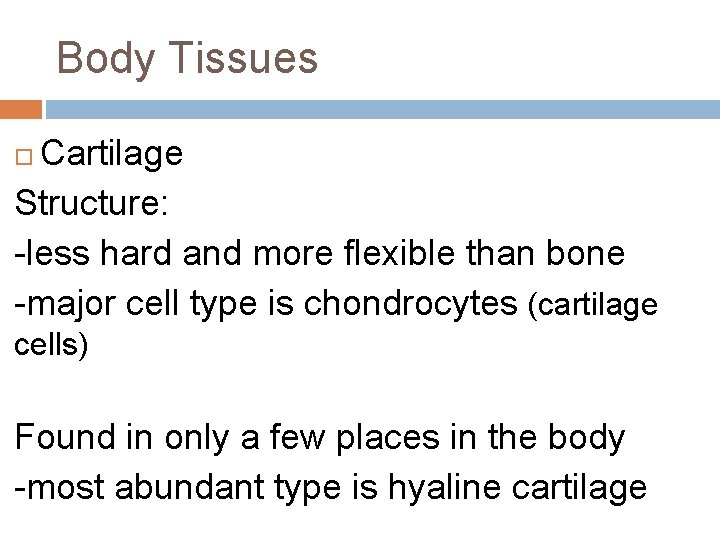 Body Tissues Cartilage Structure: -less hard and more flexible than bone -major cell type