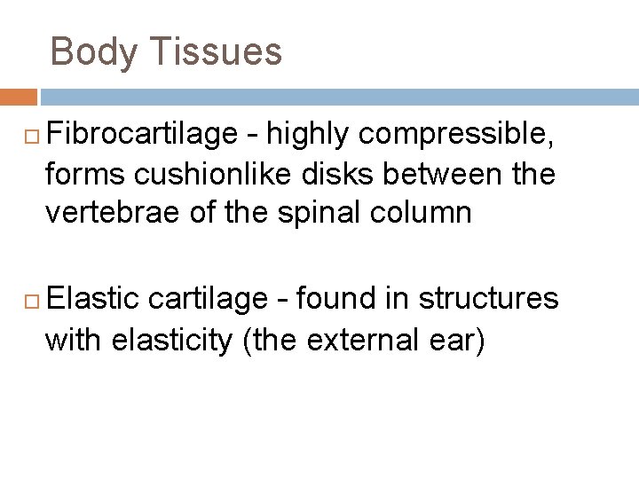 Body Tissues Fibrocartilage – highly compressible, forms cushionlike disks between the vertebrae of the