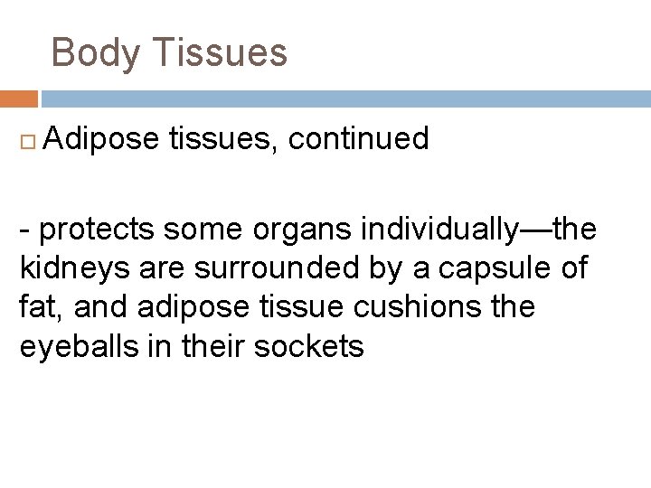 Body Tissues Adipose tissues, continued - protects some organs individually—the kidneys are surrounded by