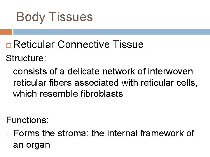 Body Tissues Reticular Connective Tissue Structure: - consists of a delicate network of interwoven