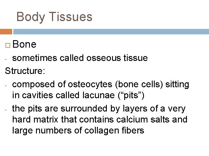 Body Tissues Bone sometimes called osseous tissue Structure: - composed of osteocytes (bone cells)