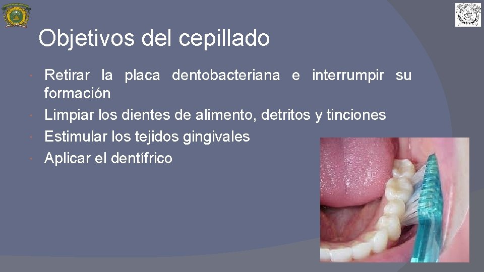 Objetivos del cepillado Retirar la placa dentobacteriana e interrumpir su formación Limpiar los dientes
