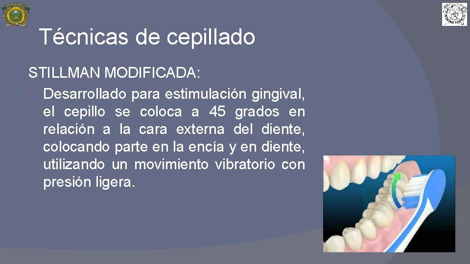 Técnicas de cepillado STILLMAN MODIFICADA: Desarrollado para estimulación gingival, el cepillo se coloca a