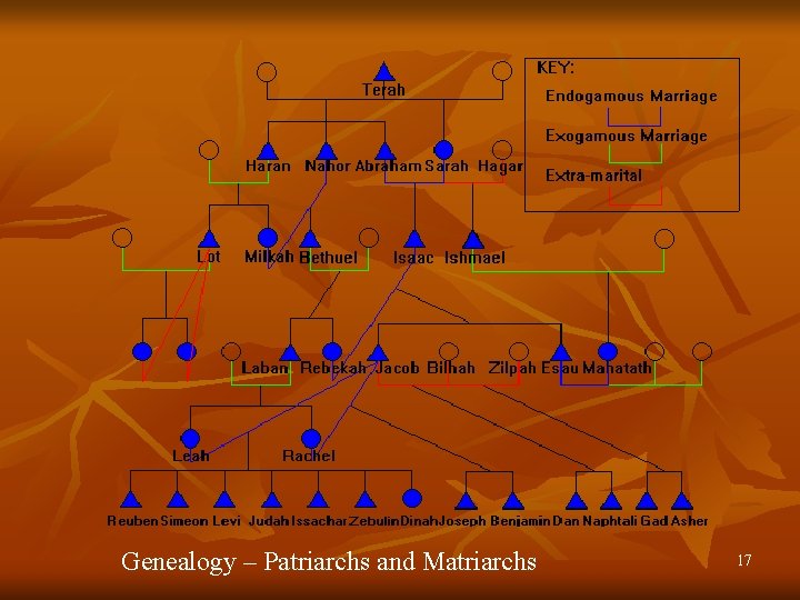 Genealogy – Patriarchs and Matriarchs 17 