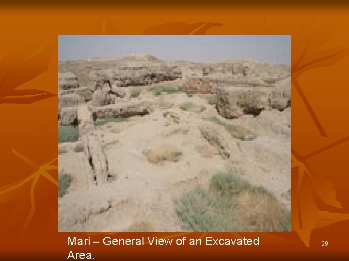 Mari – General View of an Excavated Area. 29 