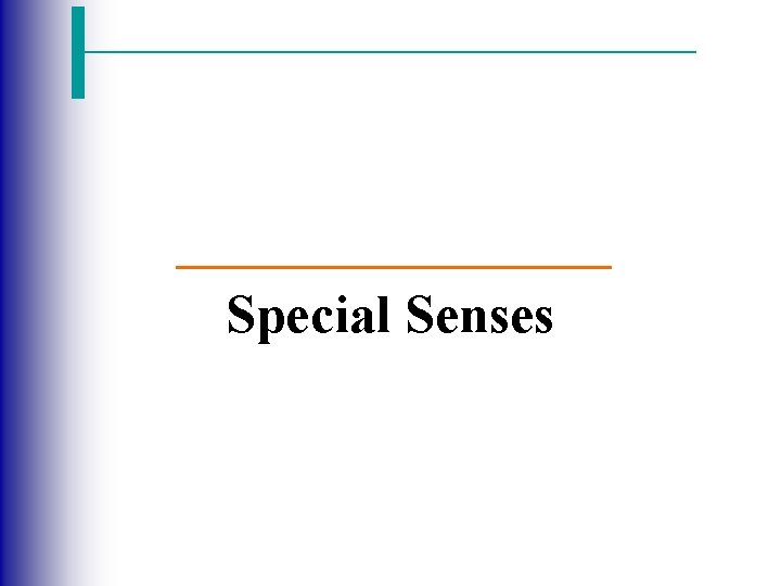 Special Senses 