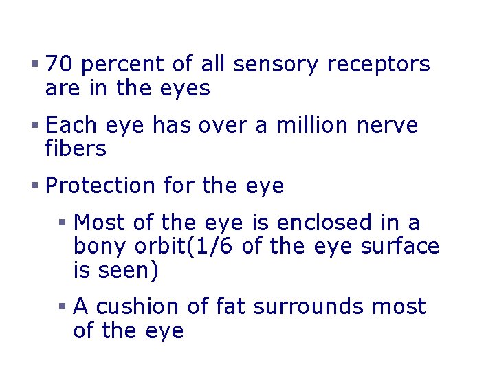 The Eye and Vision § 70 percent of all sensory receptors are in the