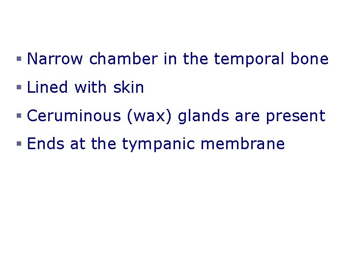 The External Auditory Canal § Narrow chamber in the temporal bone § Lined with