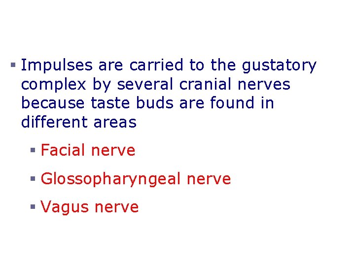 Structure of Taste Buds § Impulses are carried to the gustatory complex by several