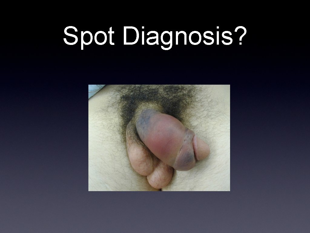 Spot Diagnosis? 