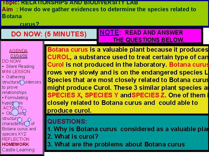 Topic: RELATIONSHIPS AND BIODIVERSITY LAB Aim : How do we gather evidences to determine