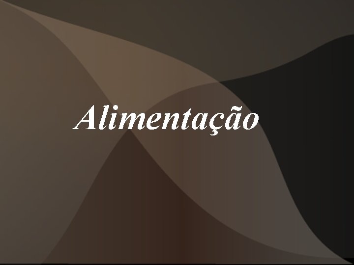 Alimentação Alimentação